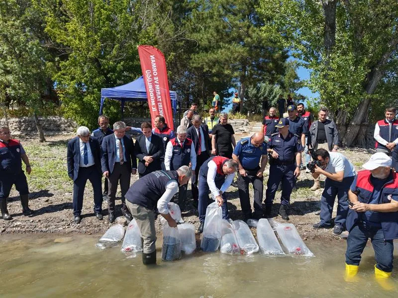 Alpsarı Göleti’nde sazan yavrularının suya bırakıldığı program
