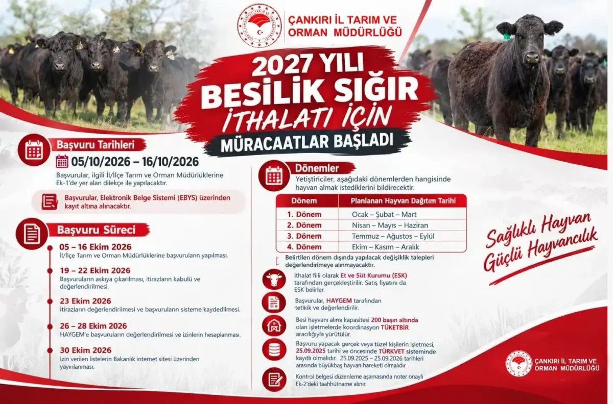 Çankırı'da besilik sığır ithalatı başvuruları 5 Ekim'de başlıyor