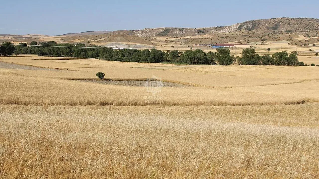 Çankırı'da boş kalan tarım arazileri üretime kazandırılıyor