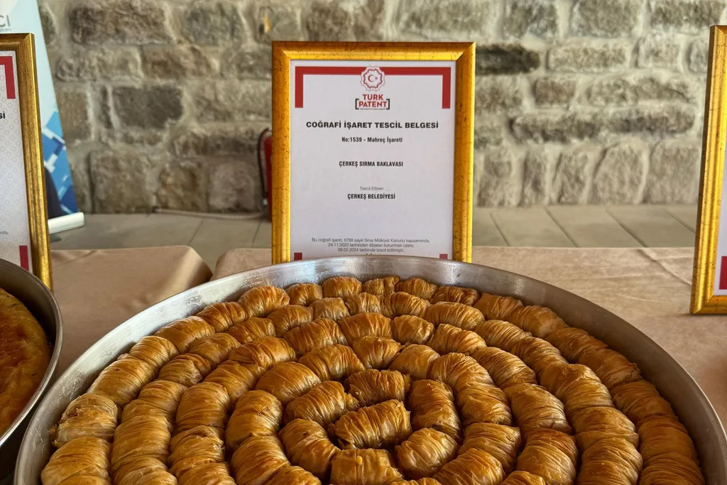 Çerkeş Sırma Baklavası tepsisi ve arkasında Türk Patent'in mahreç işareti tescil belgesi