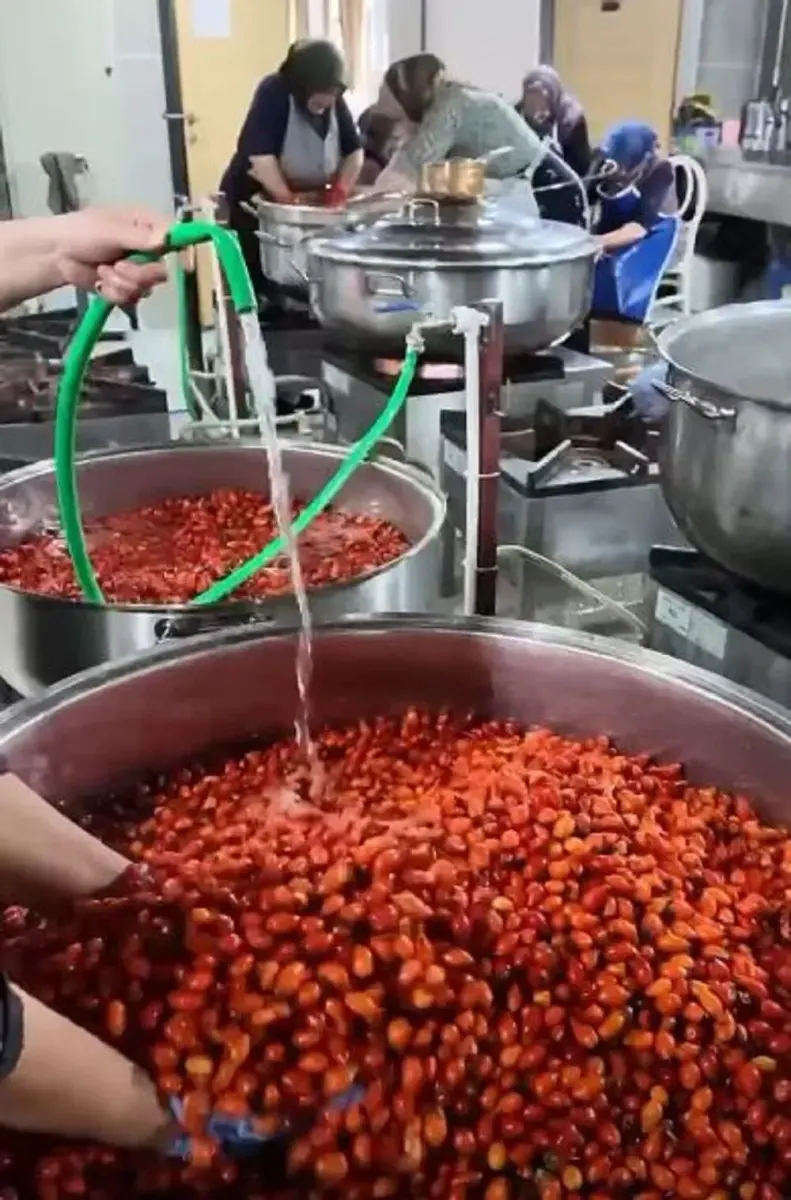 Çerkeş'te kadınlar kuşburnu, karamuk ve erik marmelatı üretiyor