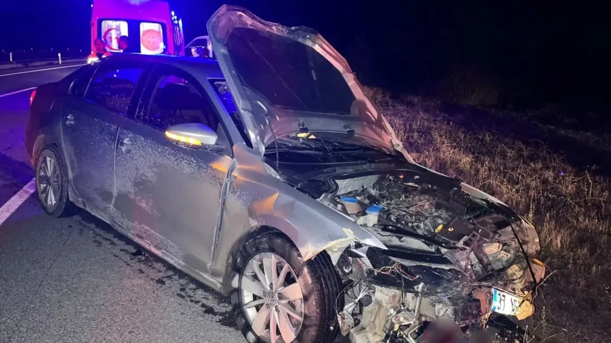 Hanönü'de domuz sürüsüne çarpan otomobilde iki yaralı, dokuz domuz telef oldu
