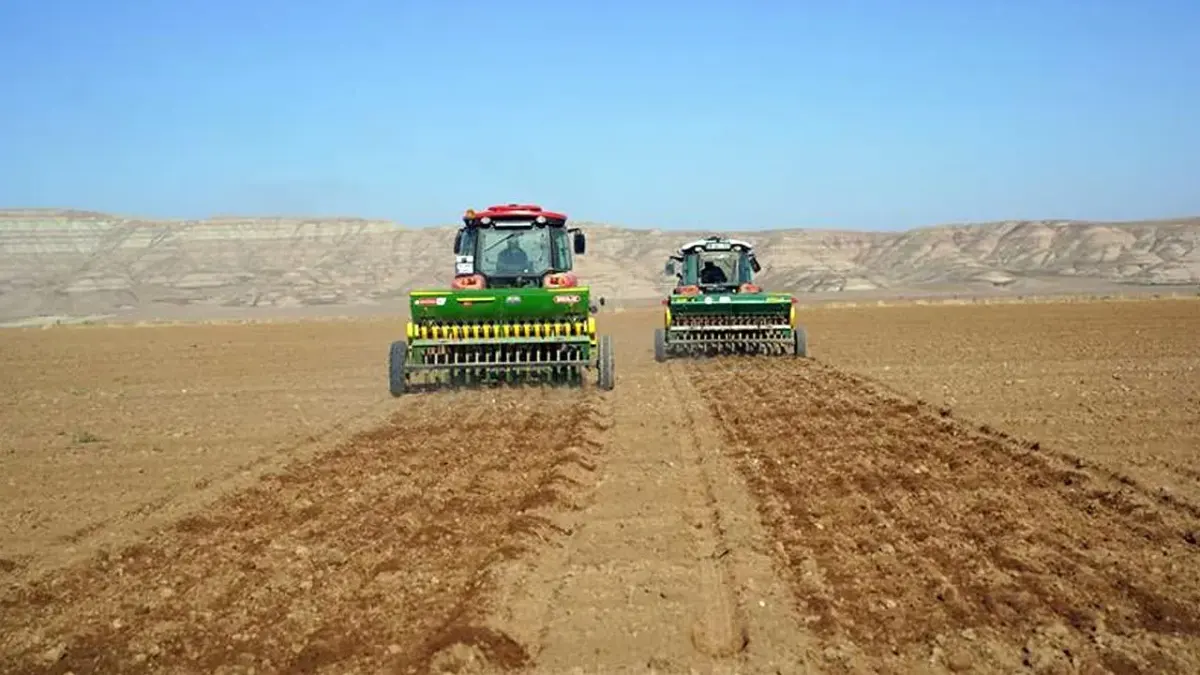 Kızılırmak'ta 30 dekarlık alanda kuraklığa karşı arpa tohumu denemesi başladı