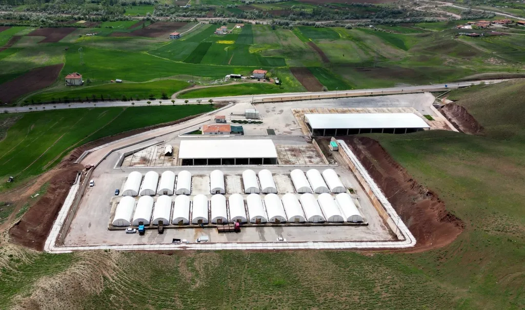 Çankırı Belediyesi Modern Hayvan Pazarı'nın havadan görünümü